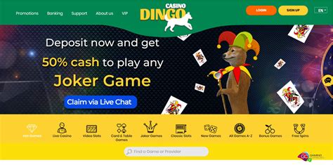Dingo casino aplicação